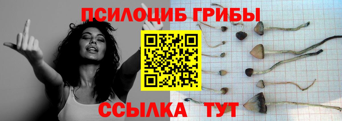 Анапа  Галлюциногенные грибы мицелий  Вход с VPN 